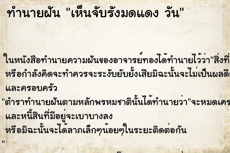 ทำนายฝันทำนายฝันเห็นจับรังมดแดงวัน